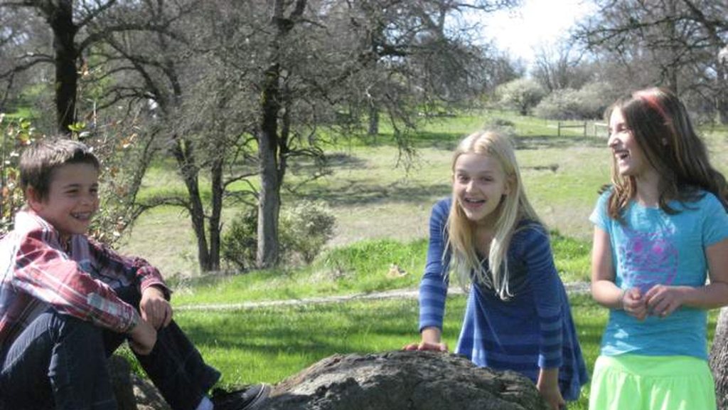 Three children standing on the rock in the oak meadow, spring grass around them.